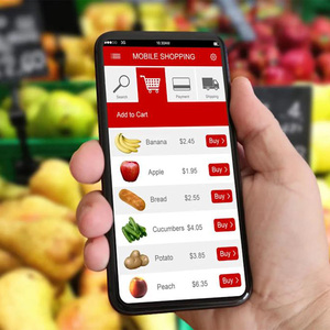 Modèle de boutique en ligne ClientGrocery, essentiels quotidiens, produits frais de la ferme, produits laitiers, boulangerie, en-cas, livraison rapide à domicile - Product Image 4