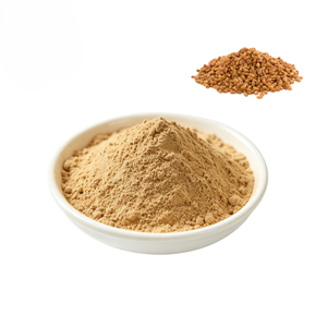 Poudre de graines de fenugrec 100 % pure et séchée en gros, de qualité alimentaire végétale, pour le bien-être et la nutrition quotidiens - Product Image 3