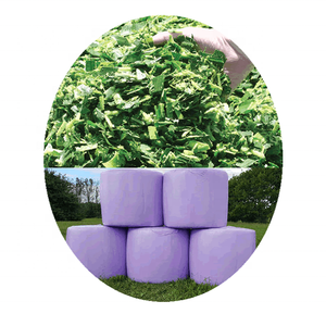 Alimento para animales de ensilado de maíz húmedo de grado superior para <span class=keywords><strong>caballos</strong></span>, cerdos, ganado al por mayor de Pakistán, pacas redondas, ensilado de maíz fermentado - Product Image 5