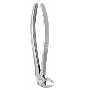 ARISTON INTERNATIONAL Pinzas de Extracción Dental de Alta Calidad con Patrón Inglés, Acero Alemán, Alicates Manuales en Venta - Product Image 3
