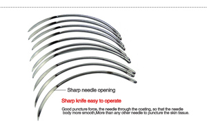 Instrumentos Veterinarios, 10 Agujas Quirúrgicas para Cerdos, Ganado, Ovejas, Aves de Corral, Agujas de Sutura Veterinaria Médica de ARMANDIOUS - Product Image 3