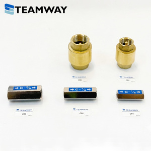 TEAMWAY ซีรีส์ C วาล์วกันกลับลมแบบทองเหลือง, วาล์วกันกลับทางเดียว, เกลียวใน 1/8" 1/4" 3/8" 1/2" 3/4" - Product Image 1