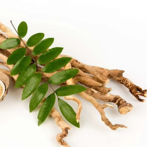 ผู้จัดจำหน่ายผงสกัดตองกัตอาลี - Product Image 1