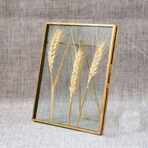 Cadre photo en métal brillant pour la décoration de studio et de maison, offrant une finition aux tons radieux et des solutions d'affichage de photos dynamiques - Product Image 4