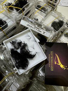 Pestañas Postizas Personalizadas 14D 12D Mega Volumen, Kit de Extensiones de Pestañas Hechas a Mano con PBT Sintético Coreano, Marca Privada, Pestañas Individuales - Product Image 5