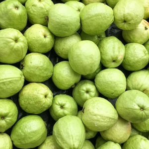 Goyaves fraîches de haute qualité pour la vente en gros _ Exportateur fiable du Vietnam - Product Image 5
