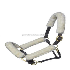 Wholesale Equestrian Products Premium Horse Head Collar Custom Design Horse Bridle Equestrian Hardware Nylon Horse Halter - Product Image 2