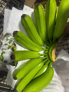 Plátanos Cavendish dulces naturales cultivados en regiones tropicales para exportación - Product Image 2