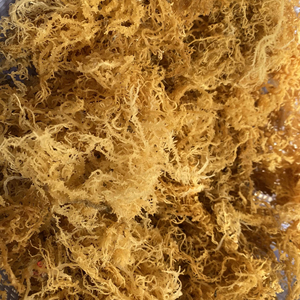 Venta al por mayor de algas secas de alta calidad Eucheuma Cottonii/musgo marino de Vietnam // Lima - Product Image 1