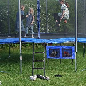 Bolsa para Zapatos para Juguetes de Salto en Trampolín - Product Image 6