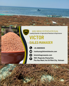 Alga marina Sargassum premium internacional Kim Minh para alimentación animal de Vietnam - Product Image 6