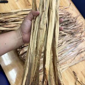 ผักตบชวาแห้งธรรมชาติจากเวียดนาม สำหรับงานสานและเฟอร์นิเจอร์ คุณภาพส่งออก เกรด A ผู้จัดจำหน่าย 21 ANGLE - Product Image 1