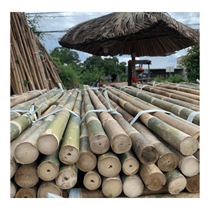 Poteau en bambou naturel fabriqué à partir de bambou durable pour la construction et la fabrication de meubles, origine Vietnam. - Product Image 6