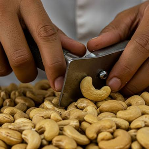 Nueces de Anacardo Tostadas y Saladas W320 de Vietnam a Granel, con Cáscara, Grado de Exportación OEM ODM, Empacadas al Vacío - Product Image 2