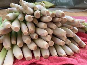 IQF <b>Frozen</b> LEMONGRASS- SLICED LemonGrass/ CHOPPED Lemongrass for Export <b>Frozen</b> <b>Vegetables</b> Product - SUPPLIER VIETNAM/ Ms. Selina - Product Image 5