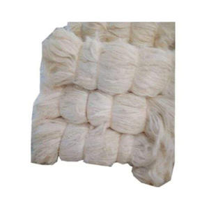 custom made natural sisal <b>fibers</b> suitable for technical and educational applications ideal for resale - Product Image 6