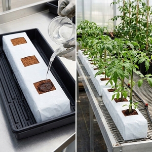 Wholesale Extra Washed 100% Natural Organic Coco Peat Hydroponic Reusable Mushroom Grow 5Kg Block Plastic Grow Bag - Product Image 5