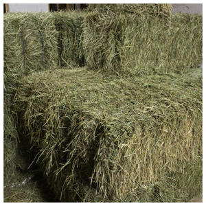 Suministro directo de fábrica de heno de alfalfa para granjas comerciales, distribuidores de alimentos para ganado y exportadores. - Product Image 5