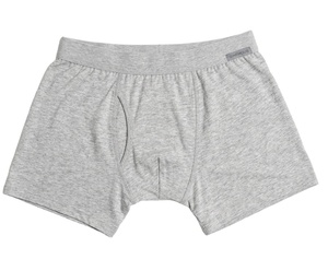 Mens <b>Boxer</b> Briefs Underwear Knitted Lightweight Cotton Spandex Soft Stretch Skin-Friendly Elastic Waist Casual Summer Breathable - Product Image 1