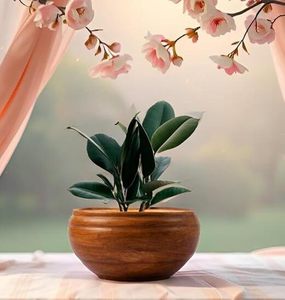 Petit pot en céramique multi-usages avec trous de drainage, pot décoratif pour plantes d'intérieur et d'extérieur - Product Image 5