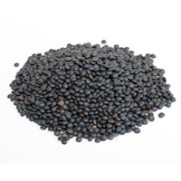 Lentilles noires de haute qualité, lentilles séchées soigneusement sélectionnées pour l'emballage de détail et l'industrie alimentaire, service OEM