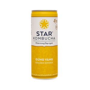 Bebida de Kombucha de Jengibre Dorado en Oferta, 250 ml, Marca Star Kombucha, Bebida de Té Fermentado, Precio Competitivo, Exportación al por Mayor - Product Image 1