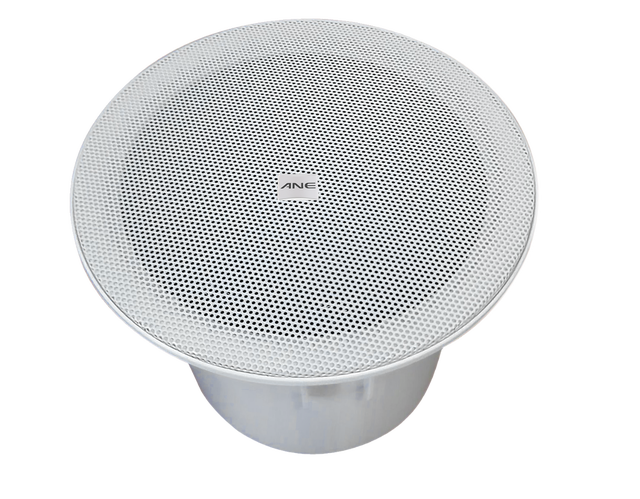 P-106 6.5" * 1 Coaxial Speaker 25W Plastic 5-inch with Rear Cover for Hotels High-quality Speaker Ceiling Speaker