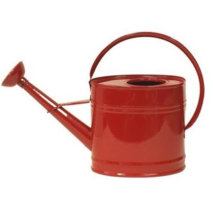 Arrosoir en métal robuste pour grands jardins, grande capacité et revêtement anti-rouille par poudrage - Product Image 1