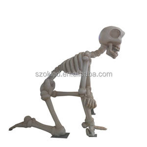 Esqueleto gigante Arco de Halloween Vela grande de Halloween Escoba embrujada grande con silla de bruja Pilar Recluse - Product Image 3