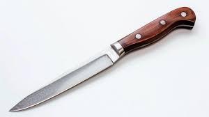 High Quality Stigma Stainless Steel Hunting Bowie Knife Wooden Handle Leather Sheath Fixed <b>Clip</b> Point Blade Outdoor Knife - Product Image 4