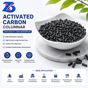 Charbon actif colonnaire à haute adsorption pour la purification de l'air, l'élimination des COV, le traitement des gaz et la filtration industrielle - Product Image 1