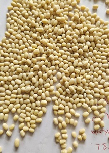 Protéine d'Urad blanche entière indienne séchée, élégante et de qualité supérieure, facile à cuisiner, 30 kg en vrac, nouvelle récolte à prix avantageux - Product Image 4