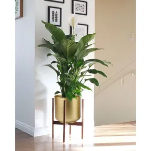 Jarrón de Metal Hecho a Mano de Diseño Nuevo y Premium con Tapa, Soporte Artístico para Decoración Moderna del Hogar, Diseñadores de Interiores, Hoteles - Product Image 1