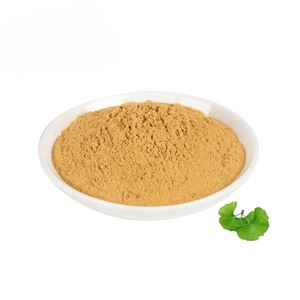 Poudre de feuilles de Ginkgo Biloba de qualité export, soutien de la santé cérébrale et de la circulation, 100% naturelle, provenant d'Inde - Product Image 6
