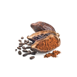 Fèves de cacao Ariba, fèves de cacao brutes séchées, fèves de cacao fermentées, fèves de cacao vertes, poids, origine, type, variété, taille, qualité, ISO, lieu, modèle - Product Image 3