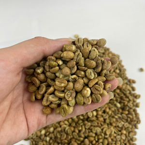 Granos de Café Robusta Verde 100% Puro al por Mayor, Destino UE/EE. UU./Medio Oriente, Origen Vietnam - Product Image 6