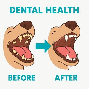 Masticables Premium de Leche de Yak del Himalaya para Perros, Larga Duración, Apoyo a la Higiene Dental, Alto Contenido Proteico, Masticables Saludables para Perros, Compatible con OEM - Product Image 6