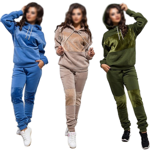 Spring Hoodies Two Piece Set Velvet Patchwork Sweatshirt Pants Suit Tracksuits Long Sleeve Sportswear <b>Outfit</b> Suede Women Sets - Product Image 1