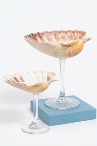Adorno de Mesa Decorativo de Conchas Marinas de Vietnam para el Hogar, Casa de Playa, Interior y Estilo Resort - Product Image 3