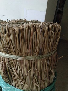 หญ้าทะเลแห้งสีเบจสำหรับสัตว์เลี้ยง วัสดุธรรมชาติ ปลอดภัยสำหรับกระต่าย แฮมสเตอร์ และนก 26 ANGLE - Product Image 5