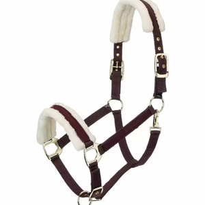 Harnais de cheval en nylon bordeaux avec rembourrage en polaire blanc et boucles métalliques pour l'équitation et l'entraînement - Product Image 1