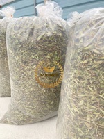 Feuilles de Stevia séchées de qualité supérieure Feuilles de bonbons Congé sucré du Vietnam pour le thé Extraits de cuisson Édulcorant alimentaire Prix de gros