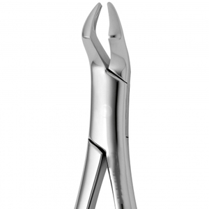 คีมถอนฟัน FELSCH รุ่น Fig 210 สำหรับฟันกรามส่วนบน ทำจากเหล็กกล้าไร้สนิม แบบอังกฤษ เครื่องมือผ่าตัดทางทันตกรรม - Product Image 1