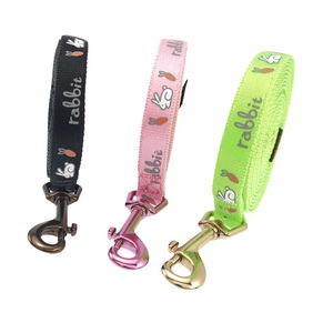 Laisse pour petit chien de qualité supérieure, écologique, en nylon satiné, motif animalier de dessin animé, modèle PAE-T01, vente en gros pour l'extérieur - Product Image 2