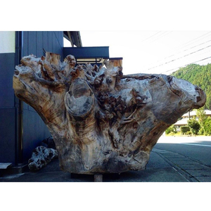 Racine d'arbre de camphre japonais, bois brut unique, matières premières, bûches décoratives en bois sur mesure - Product Image 1