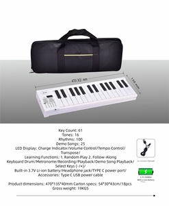 Chất Lượng Cao Xách Tay Gấp 61 Phím Đồ Chơi Đàn Piano Organ Điện Tử Với Túi Bàn Phím Nhạc Cụ Quà Tặng Cho Trẻ Em Mới Bắt Đầu - Product Image 6