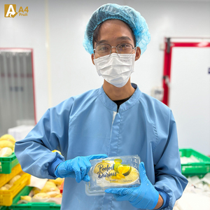 ทุเรียนสดคิงฟรุต ไทย มุนทอง เนื้อนุ่มหวาน รสครีมมี่ ผลิตในประเทศไทย แช่เย็น 500 กรัม เนื้อผลไม้แท้ คุณภาพระดับโลก - Product Image 5