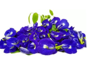Poudre de fleur de pois papillon séchée mélangée, 100% naturelle, thé amincissant à base de plantes, approvisionnement en vrac, Vietnam - Product Image 1