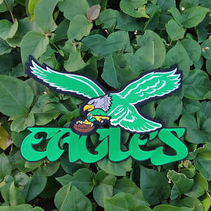 Parche Bordado de Chenilla de los Philadelphia Eagles para el Día del Partido de Fútbol Americano, Parches Termoadhesivos para Ropa - Product Image 5