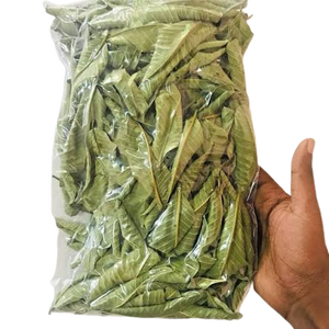 Mejor Precio, Hojas de Guayaba 100% Naturales, Secadas a Máquina, Hoja Entera, Secadas al Sol, Precio Directo de Fábrica, Empacadas en Caja de Cartón, Vietnamitas - Product Image 5
